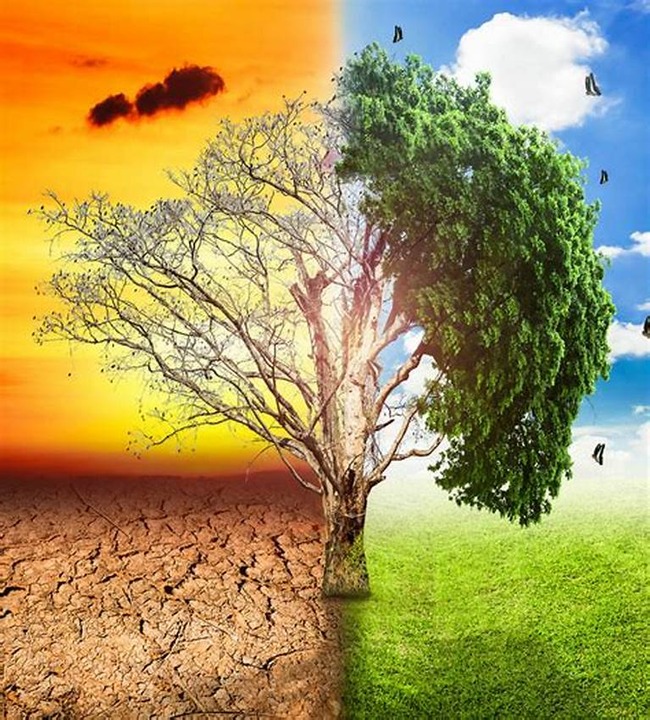 Impact of Climate Change
